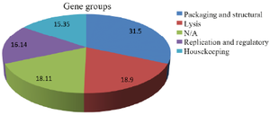 <p>Figure 1. Major gene groups of Enfac.MY prophage.</p>