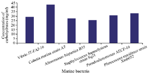 <p>Figure 4. Quantitative carbohydrates analysis of biomolecules secreted by the six marine bacteria.</p>