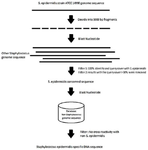 <p>Figure 1. Method for mining <em>S. epidermidis</em>-specific nucleotide sequences.</p>