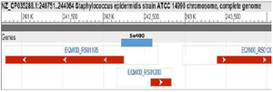 <p>Figure 2. Schematic location of Se400 between <em>EQW00_01195</em> and <em>EQW00_01200</em> genes.</p>