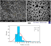 <p>Figure 3. SEM and TEM images of phyto-synthesized AgNPs. &nbsp;Histogram of the particle sizes from TEM images.</p>
