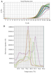 <p>Figure 8. A) Amplification plot of <em>casp3, casp9, Bax</em> and <em>Bcl2</em> apoptosis related genes, B) melting curve of mention genes.</p>
