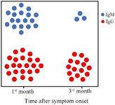<p>Figure 2. Stability of antibody seroconversion over the time after clinical symptom onset. Colored circles represent relatively the patients who were antibody-positive in the first month of clinical symptom onset (at any times of testing) versus those who were antibody-positive in the third month of clinical symptom onset.</p>
