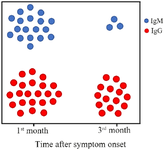 <p>Figure 2. Stability of antibody seroconversion over the time after clinical symptom onset. Colored circles represent relatively the patients who were antibody-positive in the first month of clinical symptom onset (at any times of testing) versus those who were antibody-positive in the third month of clinical symptom onset.</p>
