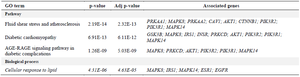 <p>Table 2. Enriched pathways related to vascular complications</p>