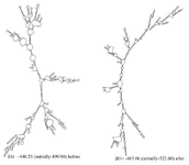 <p>Figure 7. Prediction of the RNA secondary structure of the chimeric gene using the Mofld algorithm.</p>
