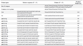 <p>Table 1. Sequences of the primers, universal poly (T) adaptor, and the mature sequences of U48, U6, and the candidate miRNAs</p>
<p>&nbsp;</p>
<p>One or two mismatches (underlined letters) were introduced in some of the primers to increase the specificity of the primer or to avoid primer-dimer formation.</p>
<p><sup>a</sup>V= A, G, C; N=A, G, C, T</p>
