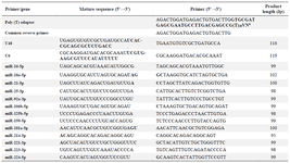 <p>Table 1. Sequences of the primers, universal poly (T) adaptor, and the mature sequences of U48, U6, and the candidate miRNAs</p>
<p>&nbsp;</p>
<p>One or two mismatches (underlined letters) were introduced in some of the primers to increase the specificity of the primer or to avoid primer-dimer formation.</p>
<p><sup>a</sup>V= A, G, C; N=A, G, C, T</p>
