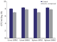 <p>Figure 9. Liver and spleen organ burden estimated by the average <em>CFU/ml</em> in the control and GroEL immunized mice challenged with EPEC and EHEC. The bacterial CFU counting was done with three replicants. Bacterial CFU was presented as the mean values &plusmn; standard error (SE), and a p&lt;0.05 was considered statistically significant.</p>

