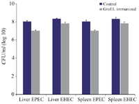 <p>Figure 9. Liver and spleen organ burden estimated by the average <em>CFU/ml</em> in the control and GroEL immunized mice challenged with EPEC and EHEC. The bacterial CFU counting was done with three replicants. Bacterial CFU was presented as the mean values &plusmn; standard error (SE), and a p&lt;0.05 was considered statistically significant.</p>
