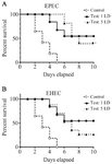 <p>Figure 10. The protective efficacy of rGroEL immunization on the survival of the mice passively immunized with rGroEL. The mice were passively immunized with heat inactivated immune sera raised from the mice immunized with rGroEL. These mice were challenged with 1 and 5 lethal doses of EPEC and EHEC strains.</p>