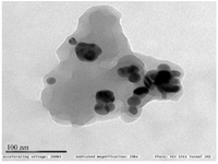 <p>Figure 3. TEM analysis found a surface morphology of synthesized CC-AgNPs as round shaped with 10-45 <em>nm</em> size ranges.</p>
