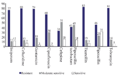 <p>Figure 1. Antibiotic susceptibility schemes of <em>Pseudomonas aeruginosa</em> isolates.</p>
