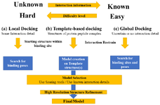 <p>Figure 4. Level of complexity and types of molecular docking for protein-peptide docking.</p>