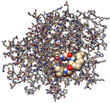 <p>Figure 5. Molecular interaction of a cyclic peptide with target protein-Silhouette view (Efficient inhibition of the active site): Ball-stick model for target protein docked by lipopeptide ligand in sphere form.</p>