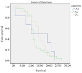 <p>Figure 1. Kaplan Meier Curve for overall survival of GBM patients based on rs1625649 genotype.</p>