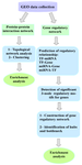 <p>Figure 1. Workflow study.</p>