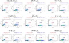 <p>Figure 3. Flow cytometry results of Cell-Surface Vimentin (CSV) detection in different cells. The produced anti-vimentin 7C11-D9 and sheep anti-mouse FITC conjugated were primary and secondary antibodies, respectively. An anti-HIV antibody was used as isotype control.</p>