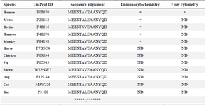 <p>Table 1. Multiple sequence alignment results for the selected vimentin peptide in different species as well as the summary of immunoassay results for the produced anti-vimentin antibody (7C11-D9)</p>
<p>ND: Not done</p>