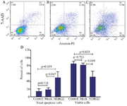 <p>Figure 3. The effect of <em>NDRG2</em> overexpression on the percentage of live and total apoptotic A549 cells. The charts show the percentages of live cells (Q4), early apoptotic cells (Q3), late apoptotic cells (Q2), and necrotic cells (Q1) in the control (A), mock (B), and NDRG2 (C) groups. The data (D) represent the mean&plusmn;SD of three independent experiments. The data were analyzed using Kruskal-Wallis&rsquo;s test.</p>