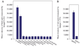 <p>Figure 5. Results of specificity of the LFIA strip. Results showed that A) the first strip had no signals for strains other than <em>Staphylococcus</em>, B) the second strip also had no signal for MSSA.</p>