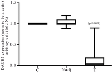 <p>Figure 1. The Real-time RT-PCR analysis of <em>DACH1</em> mRNA expression in breast cancer tumors (T) and normal adjacent margin of the tumors (Nadj) compared with normal control (C). Results are expressed as fold number changed versus control. The <em>DACH1</em> RNA values were previously normalized to <em>beta-actin</em>.</p>