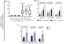 <p>Figure 4. The Real-time RT-PCR analysis of three miRNAs (<em>miR‑217, miR-6807-3p, and miR‑552) </em>expression in breast cancer tumors compared with normal control (a), between different stages of the disease (b) and between LN-, and LN+ tumors (c). Results are expressed as fold number changed versus control. The <em>miRNA </em>values were previously normalized to <em>SNORD47.</em></p>