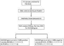 <p>Figure 1. The overall workflow and detailing of different stages and processes used in the current investigation.</p>