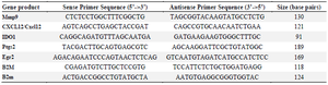 <p>Table 2. Sequence of primers used in qRT-PCR</p>
<p>Mmp9: Matrix metallopeptidase 9; CXCL12: Chemokine (C-X-C motif) ligand 12; IDO1: Indoleamine 2,3-dioxygenase 1; Ptgs2: Prostaglandin-endoperoxide synthase 2; Egr2: Early growth response 2; B2m: Beta-2-microglobulin.</p>
