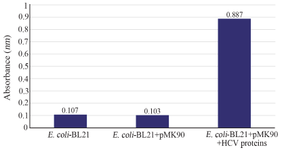 <p>Figure 4. Detection of HCV Core/NS3 fusion protein on the surface of <em>E. coli</em> BL21(DE3) by ELISA.</p>
