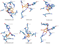 <p>Figure 3. 3D interactions of the selected phenolics with bovine serum albumin.</p>
