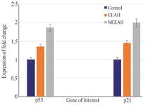 <p>Figure 1. The expression pattern of the tumor suppressor genes <em>p53</em> and <em>p21</em> in nEEAH, EEAH extract treated MDA-MB-231 cell lines. Values are mean&plusmn;SEM of three parallel measurements in each group Statistically significant test for comparison was done by ANOVA followed by Dunnet&rsquo;s &lsquo;t&rdquo; test. Comparisons are made between:</p>
<p>a-Group I <em>vs.</em> Group II</p>
<p>b-Group I <em>vs</em>. Group III</p>
<p>*p&lt;0.05, * *p&lt;0.01, **p&lt;0.001 NS&ndash;Not Significant.</p>
