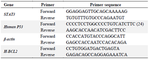 <p>Table 1. The primer sequences used for <em>p53</em>, <em>p21, STAT3</em> and <em>BCL2</em> gene expression</p>

