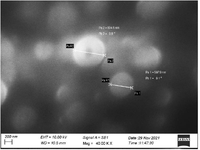 <p>Figure 3. SEM image of <em>Tinospora cordifolia </em>loaded phytoniosomes.</p>
