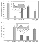 <p>Figure 5. Norepinephrine (A) and Serotonin (B) protein expression levels in different groups, similar signs are not significantly different. Non-similar signs have statistically significant differences (p&le;0.001).</p>
