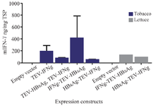 <p>Figure 4. The comparison analysis of the expression level of mIFN-&gamma; in tobacco and lettuce leaves agroinfiltrated with different expression cassettes by ELISA. Results are presented as means&thinsp;&plusmn;&thinsp;standard error of the mean (SEM).</p>
