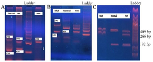 <p>Figure 1. Agarose gel electrophoresis for each T-ARMS-PCR. A) T-ARMS&ndash;PCR assay for <em>COMT </em>rs4680, B) T-ARMS&ndash;PCR assay for <em>ESR1</em> rs1643821, C) T-ARMS&ndash;PCR assay for <em>ESR2</em> rs1676303.</p>
