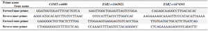 <p>Table 2. PCR primers of COMT, ESR1, and ESR2 genes</p>

