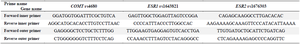 <p>Table 2. PCR primers of COMT, ESR1, and ESR2 genes</p>
