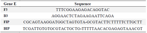<p>Table 1. The specific primers for envelope (<em>E</em>) gene from SARS-CoV-2</p>