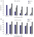 <p>Figure 4. Cytotoxicity assays of LYC1, TP4, and TP4-LYC1 against HeLa (A) and HUVEC (B) cell lines. Error bars represent SD. stars were used to show the difference between TP4, and TP4-LYC1 anti-proliferative effects in the same concentrations.</p>