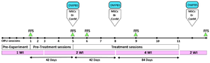 <p>Figure 1. Experimental design to investigate the effect of intra-ovarian administration of MSCs or its conditioned medium following repeated OPU in Jersey heifers. The experiment was initiated following four pre-experimental OPU sessions (Pre-experiment). The main experiment includes 5 pre-treatment and 6 treatment sessions. During the treatment session intra-ovarian administration of MSCs or ConM (right ovary) and Dulbecco&rsquo;s Modified Phosphate Buffer Saline (DMPBS; left ovary) was conducted after each OPU session. OPU: Ovum Pick UP; WI: Week Interval between two OPU sessions; FFS: Follicular Fluid Sampling; MSCs: Mesenchymal stem cells; ConM, MSCs&rsquo; Conditioned Medium; DMPBS: Dulbecco Modified Phosphate Buffer Saline.</p>
