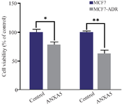 <p>Figure 3. MCF7 and MCF7-ADR cells were transfected with PCMV6-ANXA5-GFP-IRES plasmid and their viability was evaluated using MTT assay after 72 hours. Represented data are mean&plusmn;SD of four independent experiments and expressed as the percentage of cell viability in the control group. Data were analyzed using the Mann-Whitney test and p&lt;0.05 was considered a significant difference between the groups. <em>ANXA5</em> overexpression reduced cell viability in MCF7 (* p=0.01) and MCF7-ADR cells (** p=0.001) compared to that of control group.</p>
