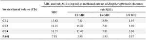 <p>Table 1. MIC and sub-MICs of ginger extract against clinical isolates (CI) 2, 3, 4, and PA01 of <em>P. aeruginosa</em></p>