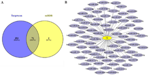 <p>Figure 6. Target miRNA prediction for <em>F8</em> gene. A) Prediction of a total of 76 common miRNAs that target <em>F8</em> gene in the two databases miRDB, and TargetScan. B) 76 common <em>F8</em> gene target miRNAs. The interaction network was constructed by Cytoscape software.</p>