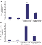 <p>Figure 4. Effect of crocin on mRNA expression of Sox-2 and E-cad induced by AlCl<sub>3</sub> treatment of BM-MSCs for 24 <em>hr</em>. A) Here, the impact of pre-treatment with 250 and 500 <em>&micro;M</em> concentrations of crocin and 20 <em>mM</em> AlCl<sub>3</sub> on mRNA expression of Sox-2 in BM-MSCs was defined by real time PCR. B) Also, real-time PCR was performed to determine the E-cadherin mRNA expression level. Values are Mean&plusmn;SEM (n=3).</p>
<p>p&lt;0.05*, p&lt;0.01**, p&lt;0.001*** were considered significant between experimental groups with control.</p>