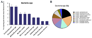 <p>Figure 1. A) The occurrence and B) proportional percentage of pathogenic bacteria from chicken intestine.</p>