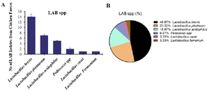 <p>Figure 2. A) The occurrence and B) proportional percentage of pGIT-d-LAB isolated from intestine.</p>
