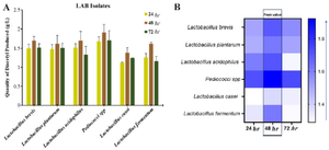 <p>Figure 3. A) Quantity of Diacetyl produced by pGIT-d-LAB isolates, B) heatmap of the peak value.</p>