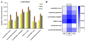 <p>Figure 5. A) Quantity of H<sub>2</sub>O<sub>2</sub> produced by pGIT-d-LAB isolates, B) heatmap of the peak value.</p>